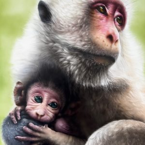 Macaque — Fine Art Print