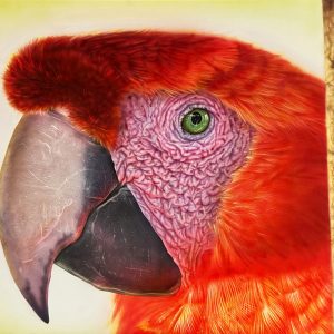 Macaque & Scarlet Parrot — Fine Art Print